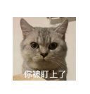 截屏2023-04-25 13.34.20.png